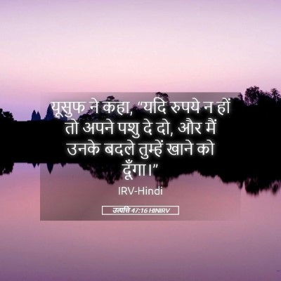 Picture 05 - उत्पत्ति 47:16 HINIRV - यूसुफ ने कहा, “यदि - Bible Verse Picture