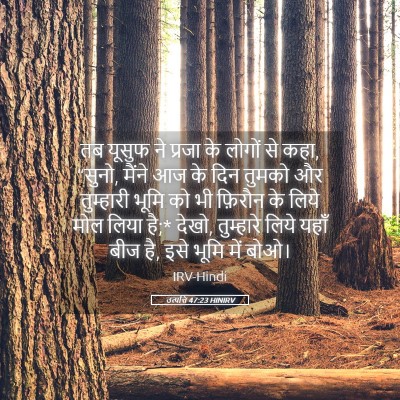 Picture 05 - उत्पत्ति 47:23 HINIRV - तब यूसुफ ने प्रजा - Bible Verse Picture