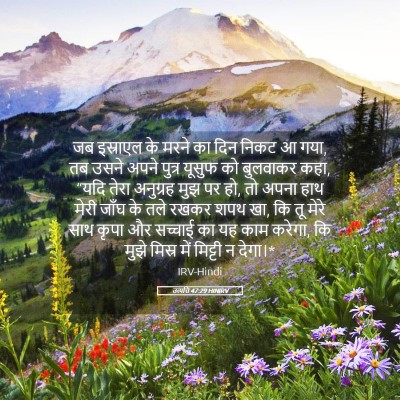 Picture 05 - उत्पत्ति 47:29 HINIRV - जब इस्राएल के मरने - Bible Verse Picture