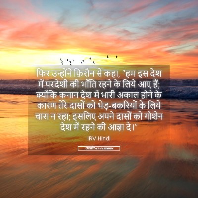 Picture 05 - उत्पत्ति 47:4 HINIRV - फिर उन्होंने - Bible Verse Picture