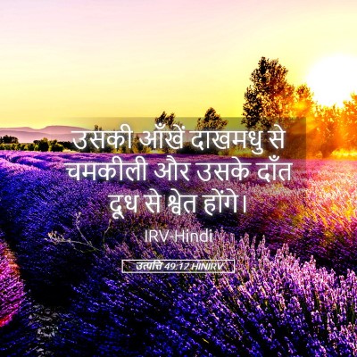 Picture 05 - उत्पत्ति 49:12 HINIRV - उसकी आँखें दाखमधु - Bible Verse Picture