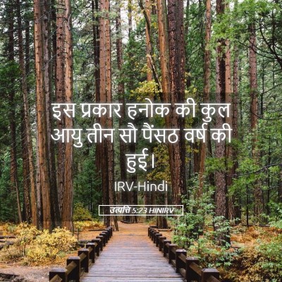 Picture 05 - उत्पत्ति 5:23 HINIRV - इस प्रकार हनोक की - Bible Verse Picture