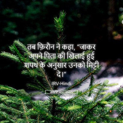 Picture 05 - उत्पत्ति 50:6 HINIRV - तब फ़िरौन ने कहा, - Bible Verse Picture