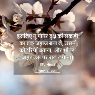 Picture 05 - उत्पत्ति 6:14 HINIRV - इसलिए तू गोपेर - Bible Verse Picture