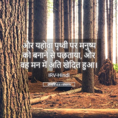 Picture 05 - उत्पत्ति 6:6 HINIRV - और यहोवा पृथ्वी पर - Bible Verse Picture