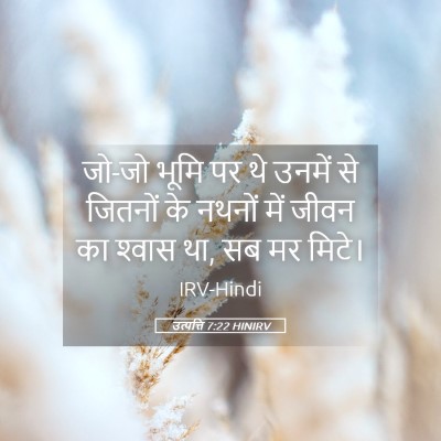 Picture 05 - उत्पत्ति 7:22 HINIRV - जो-जो भूमि पर थे - Bible Verse Picture