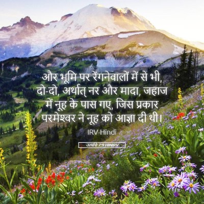 Picture 05 - उत्पत्ति 7:9 HINIRV - और भूमि पर - Bible Verse Picture