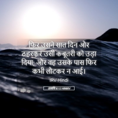 Picture 05 - उत्पत्ति 8:12 HINIRV - फिर उसने सात दिन और - Bible Verse Picture