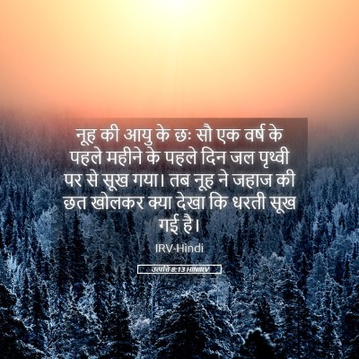 Picture 05 - उत्पत्ति 8:13 HINIRV - नूह की आयु के छः सौ - Bible Verse Picture