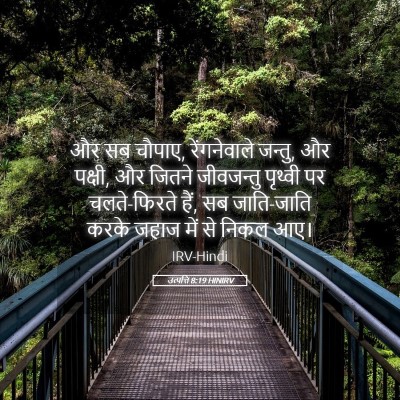 Picture 05 - उत्पत्ति 8:19 HINIRV - और सब चौपाए, - Bible Verse Picture