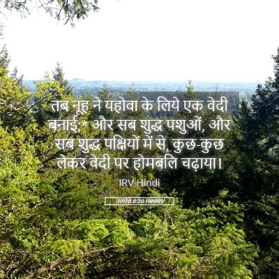 Picture 05 - उत्पत्ति 8:20 HINIRV - तब नूह ने यहोवा के - Bible Verse Picture