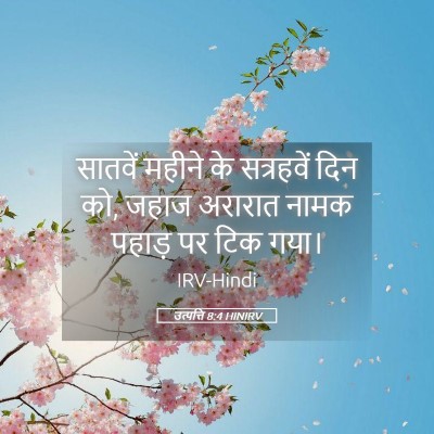 Picture 05 - उत्पत्ति 8:4 HINIRV - सातवें महीने के - Bible Verse Picture