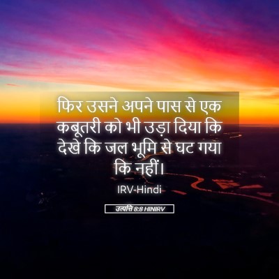 Picture 05 - उत्पत्ति 8:8 HINIRV - फिर उसने अपने पास - Bible Verse Picture