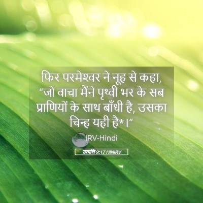 Picture 05 - उत्पत्ति 9:17 HINIRV - फिर परमेश्‍वर ने - Bible Verse Picture