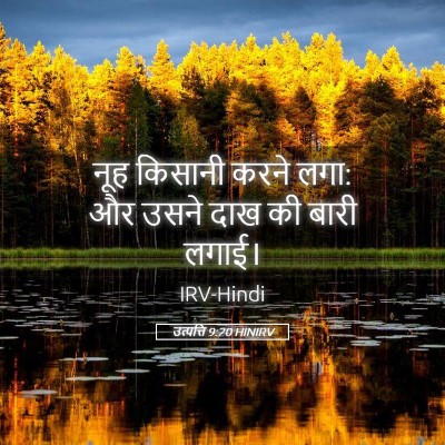 Picture 05 - उत्पत्ति 9:20 HINIRV - नूह किसानी करने - Bible Verse Picture