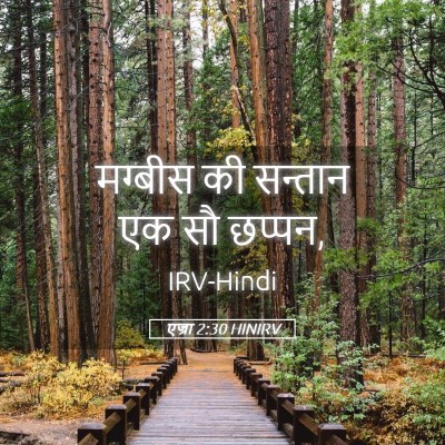 Picture 05 - एज्रा 2:30 HINIRV - मग्बीस की सन्तान - Bible Verse Picture