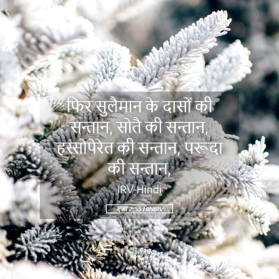 Picture 05 - एज्रा 2:55 HINIRV - फिर सुलैमान के - Bible Verse Picture
