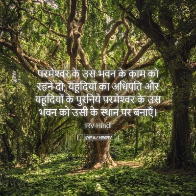Picture 05 - एज्रा 6:7 HINIRV - परमेश्‍वर के उस - Bible Verse Picture