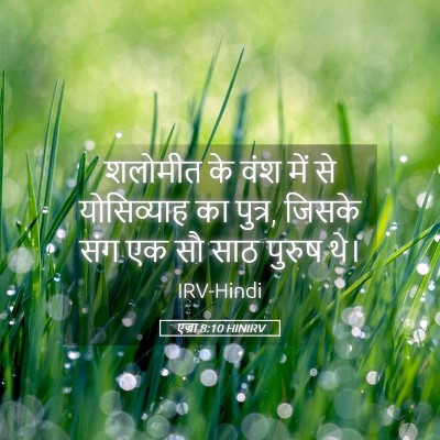 Picture 05 - एज्रा 8:10 HINIRV - शलोमीत के वंश में - Bible Verse Picture