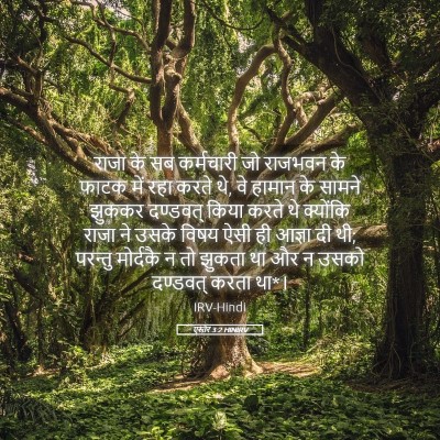 Picture 05 - एस्तेर 3:2 HINIRV - राजा के सब - Bible Verse Picture