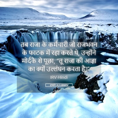 Picture 05 - एस्तेर 3:3 HINIRV - तब राजा के - Bible Verse Picture