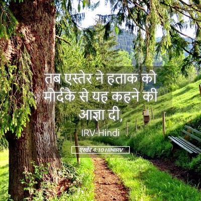 Picture 05 - एस्तेर 4:10 HINIRV - तब एस्तेर ने हताक - Bible Verse Picture