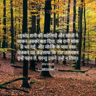 Picture 05 - एस्तेर 4:4 HINIRV - *एस्तेर रानी की - Bible Verse Picture