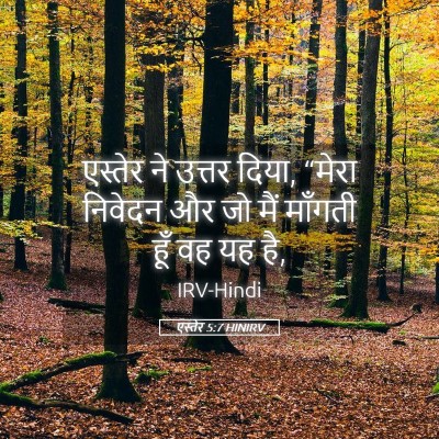 Picture 05 - एस्तेर 5:7 HINIRV - एस्तेर ने उत्तर - Bible Verse Picture