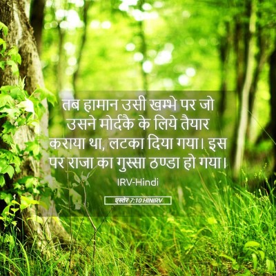 Picture 05 - एस्तेर 7:10 HINIRV - तब हामान उसी खम्भे - Bible Verse Picture