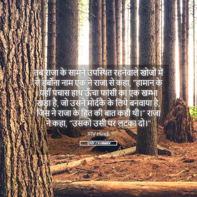 Picture 05 - एस्तेर 7:9 HINIRV - तब राजा के सामने - Bible Verse Picture