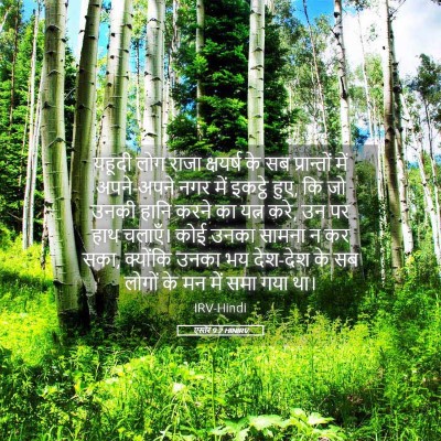 Picture 05 - एस्तेर 9:2 HINIRV - यहूदी लोग राजा - Bible Verse Picture