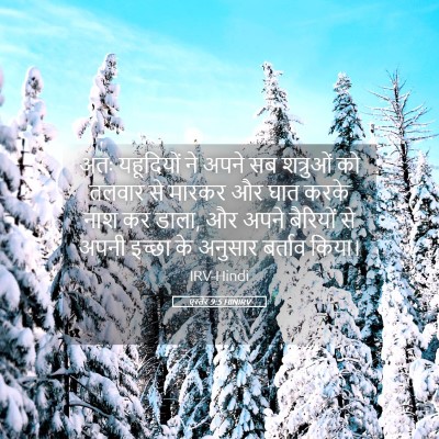Picture 05 - एस्तेर 9:5 HINIRV - अतः यहूदियों ने - Bible Verse Picture