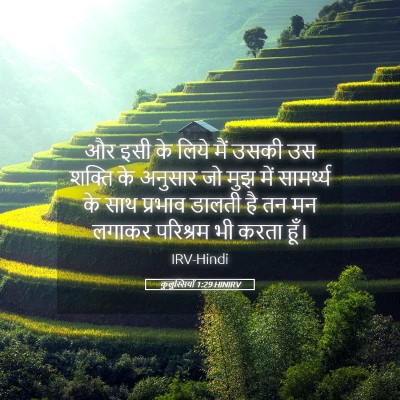 Picture 05 - कुलुस्सियों 1:29 HINIRV - और इसी के लिये मैं - Bible Verse Picture
