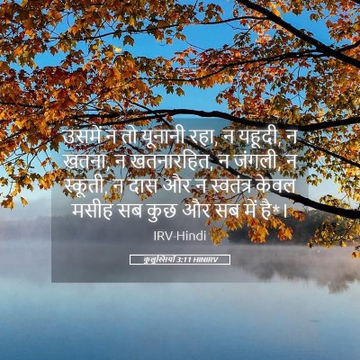 Picture 05 - कुलुस्सियों 3:11 HINIRV - उसमें न तो यूनानी - Bible Verse Picture