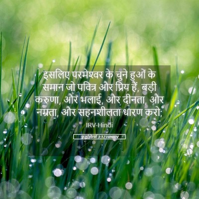 Picture 05 - कुलुस्सियों 3:12 HINIRV - इसलिए परमेश्‍वर - Bible Verse Picture