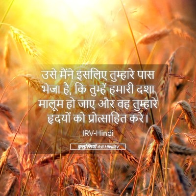 Picture 05 - कुलुस्सियों 4:8 HINIRV - उसे मैंने इसलिए - Bible Verse Picture
