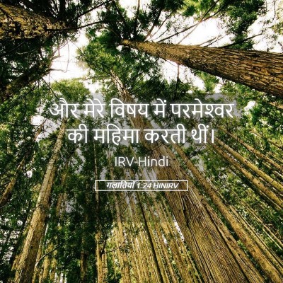 Picture 05 - गलातियों 1:24 HINIRV - और मेरे विषय में - Bible Verse Picture