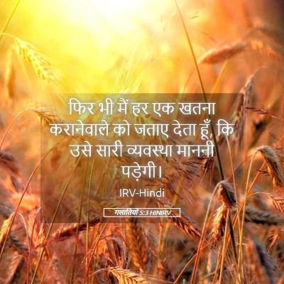 Picture 05 - गलातियों 5:3 HINIRV - फिर भी मैं हर एक - Bible Verse Picture