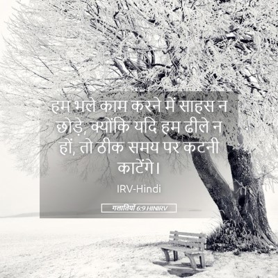 Picture 05 - गलातियों 6:9 HINIRV - हम भले काम करने में - Bible Verse Picture