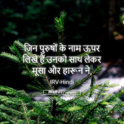Picture 05 - गिनती 1:17 HINIRV - जिन पुरुषों के नाम - Bible Verse Picture