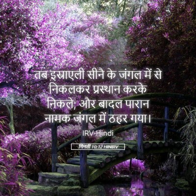 Picture 05 - गिनती 10:12 HINIRV - तब इस्राएली सीनै - Bible Verse Picture