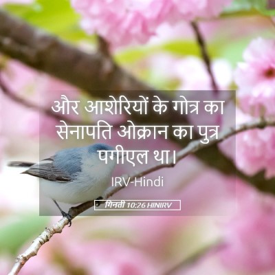 Picture 05 - गिनती 10:26 HINIRV - और आशेरियों के - Bible Verse Picture