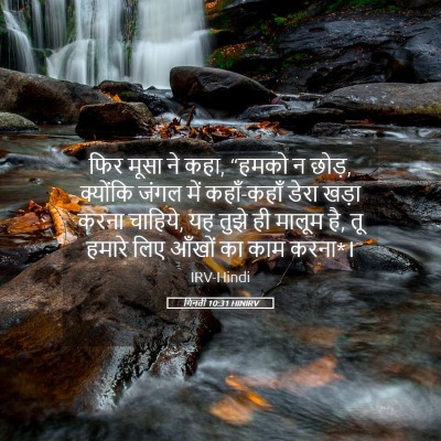 Picture 05 - गिनती 10:31 HINIRV - फिर मूसा ने कहा, - Bible Verse Picture