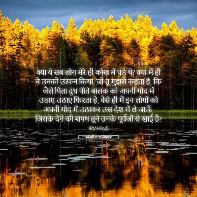 Picture 05 - गिनती 11:12 HINIRV - क्या ये सब लोग मेरे - Bible Verse Picture