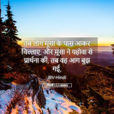 Picture 05 - गिनती 11:2 HINIRV - तब लोग मूसा के पास - Bible Verse Picture