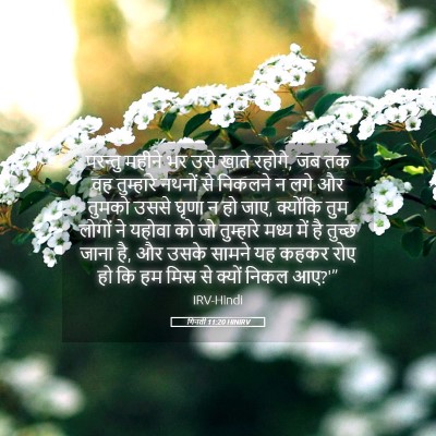 Picture 05 - गिनती 11:20 HINIRV - परन्तु महीने भर - Bible Verse Picture
