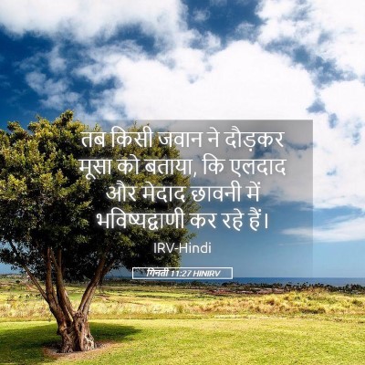 Picture 05 - गिनती 11:27 HINIRV - तब किसी जवान ने - Bible Verse Picture