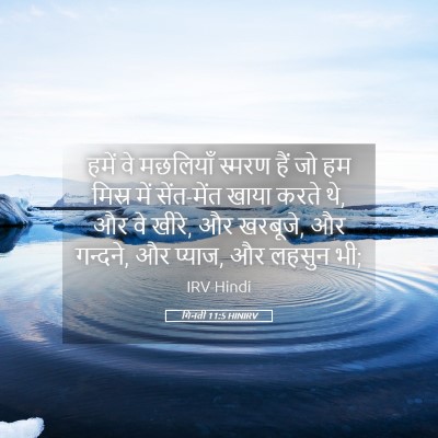 Picture 05 - गिनती 11:5 HINIRV - हमें वे मछलियाँ - Bible Verse Picture