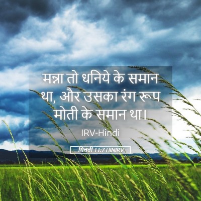 Picture 05 - गिनती 11:7 HINIRV - मन्ना तो धनिये के - Bible Verse Picture