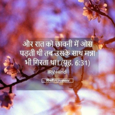 Picture 05 - गिनती 11:9 HINIRV - और रात को छावनी में - Bible Verse Picture